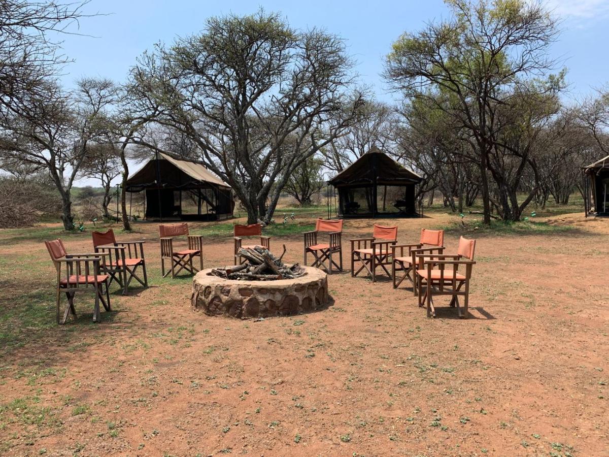 Zebra Nature Reserve Cullinan Exteriör bild