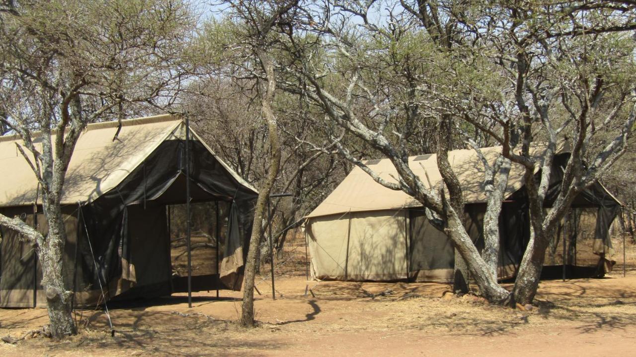 Zebra Nature Reserve Cullinan Exteriör bild
