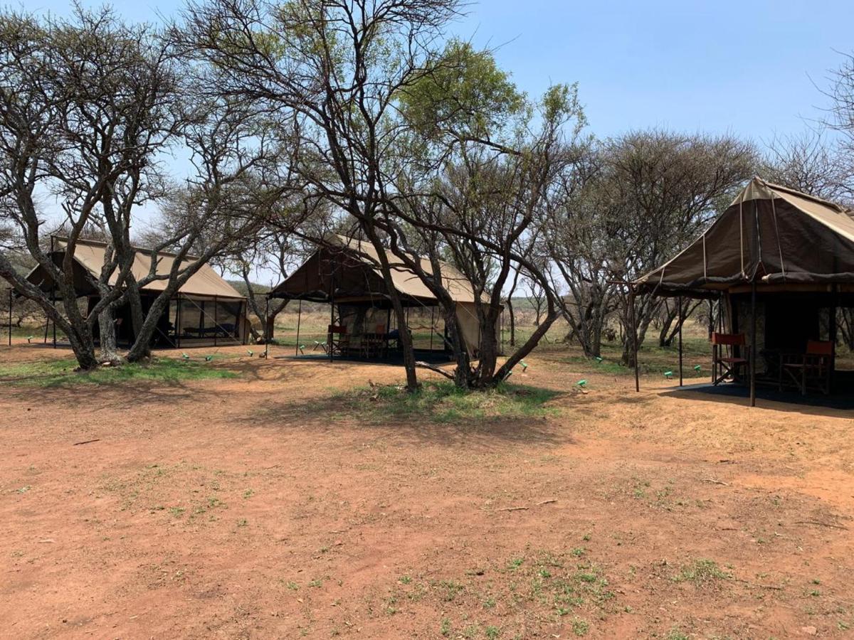Zebra Nature Reserve Cullinan Exteriör bild